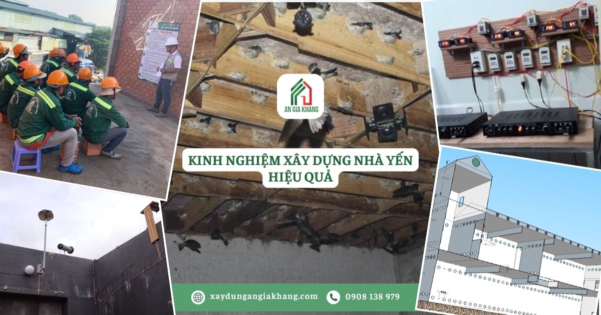 Kinh nghiệm xây dựng nhà yến hiệu quả