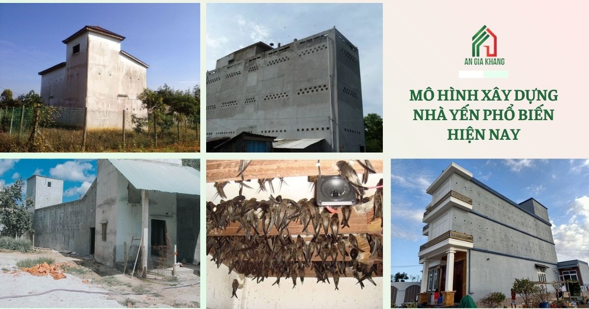 Mô hình xây dựng nhà yến phổ biến hiện nay