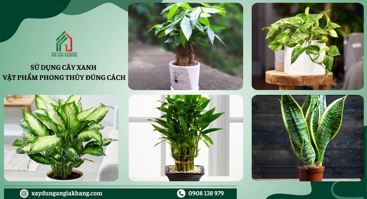 Sử dụng cây xanh, vật phẩm phong thủy 
