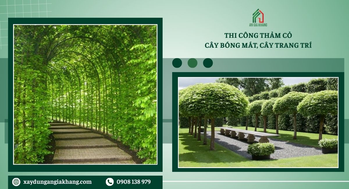 Thi công thảm cỏ, cây bóng mát, cây trang trí