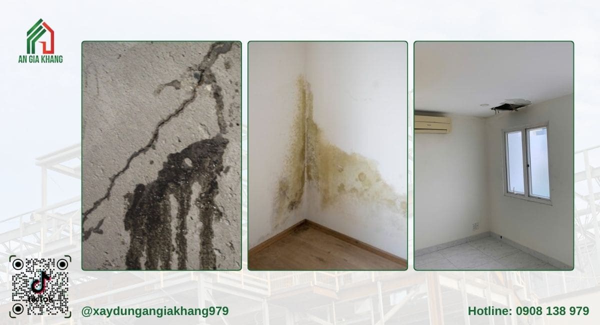 tường bị ẩm mốc